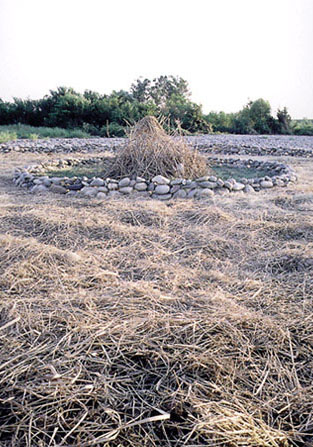 installation (stone,dry grass,reed/diameter:8.0m)