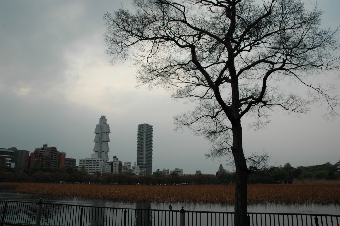 tokyo ueno park