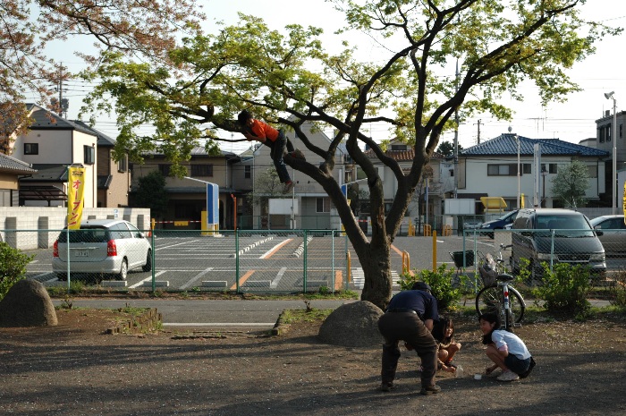 a girl in a tree